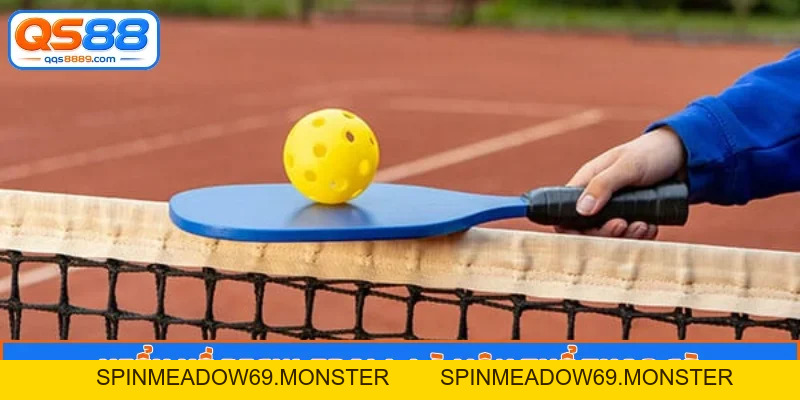 Pickleball Là Môn Thể Thao Gì - Cơn Sốt Giải Trí Sôi Động