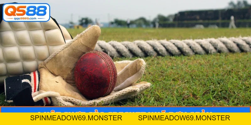 Cricket Là Môn Thể Thao Gì - Giải Mã Tường Tận Cho Anh Em