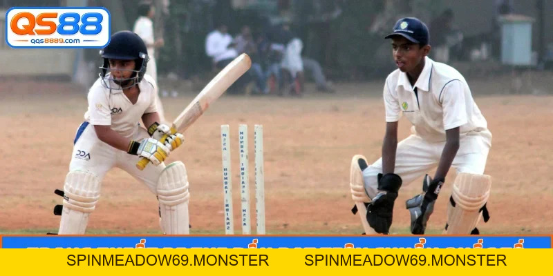 Cricket Là Môn Thể Thao Gì - Giải Mã Tường Tận Cho Anh Em